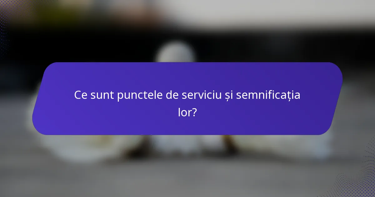 Ce sunt punctele de serviciu și semnificația lor?